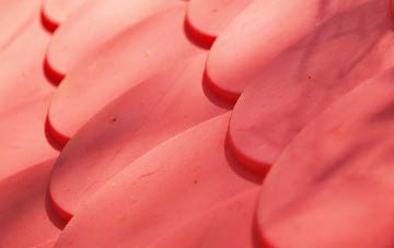 Bachelors Bump plastic roof costs