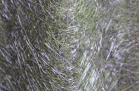 Bachelors Bump fibreglass roof work