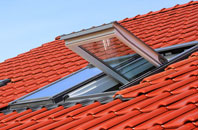 Bachelors Bump roof window